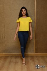 Anisha Ambrose At Interview About Fashion Designer Movie